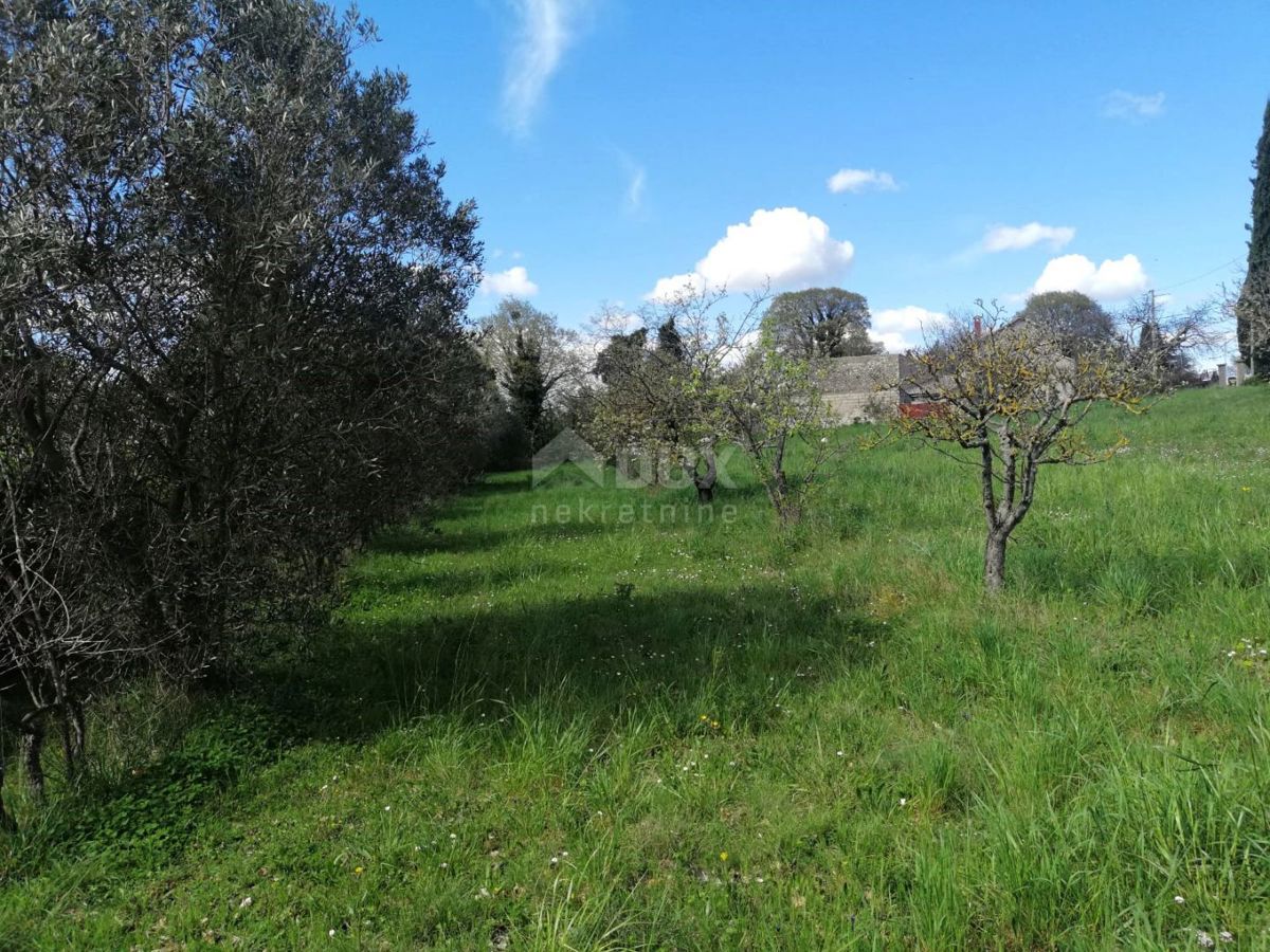 ISTRA, ŽMINJ Zazidljivo zemljišče na odlični lokaciji, 3200 m2