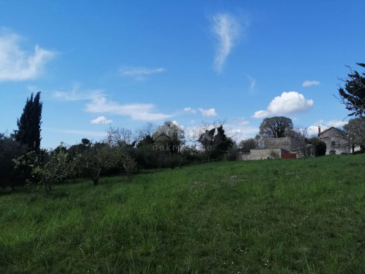 ISTRA, ŽMINJ Zazidljivo zemljišče na odlični lokaciji, 3200 m2