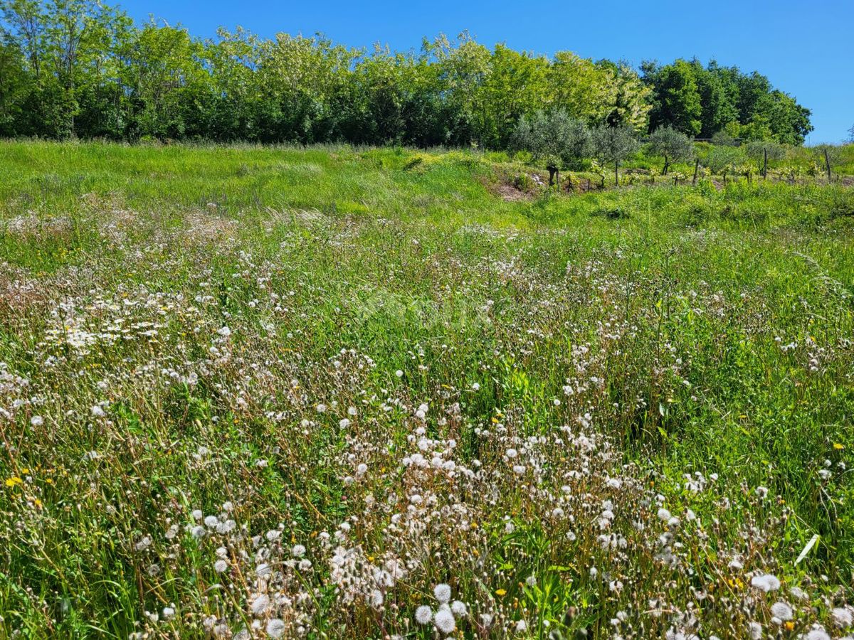 Gračišće, 1.637m2