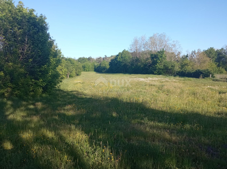 ISTRA, PAZIN - Prostorno gradbeno zemljišče v bližini centra mesta