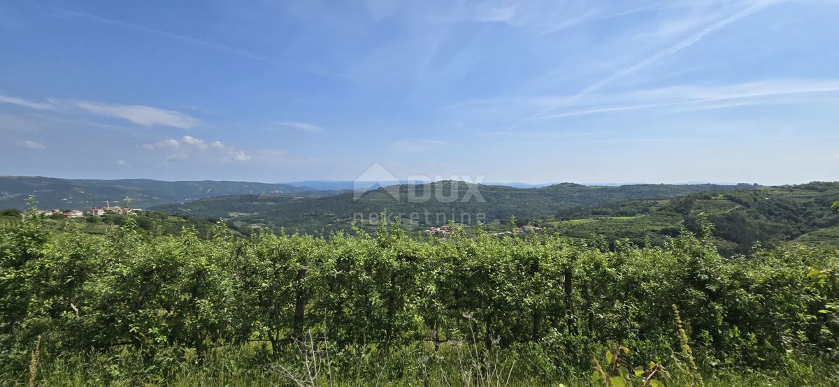 ISTRA, MOTOVUN - Čarobna dežela z dih jemajočim panoramskim razgledom! Osama!