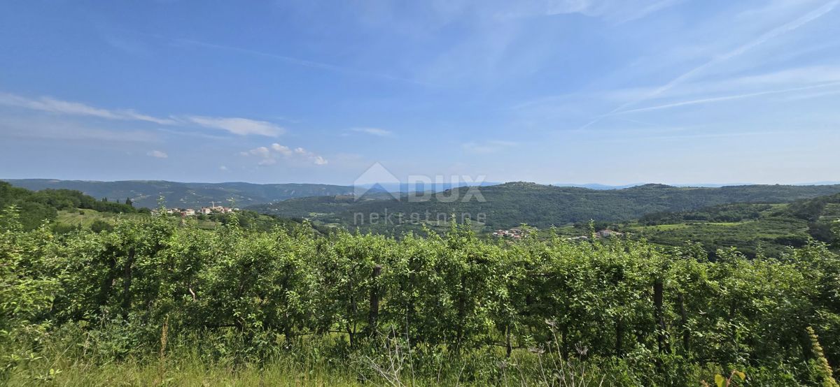 ISTRA, MOTOVUN - Čarobna dežela z dih jemajočim panoramskim razgledom! Osama!