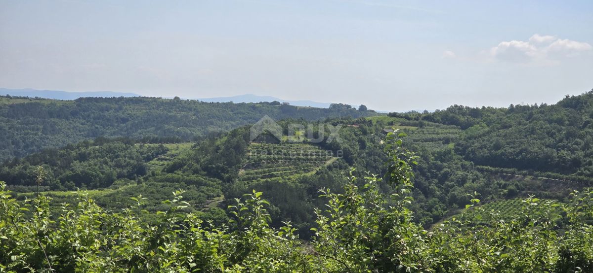 ISTRA, MOTOVUN - Čarobna dežela z dih jemajočim panoramskim razgledom! Osama!