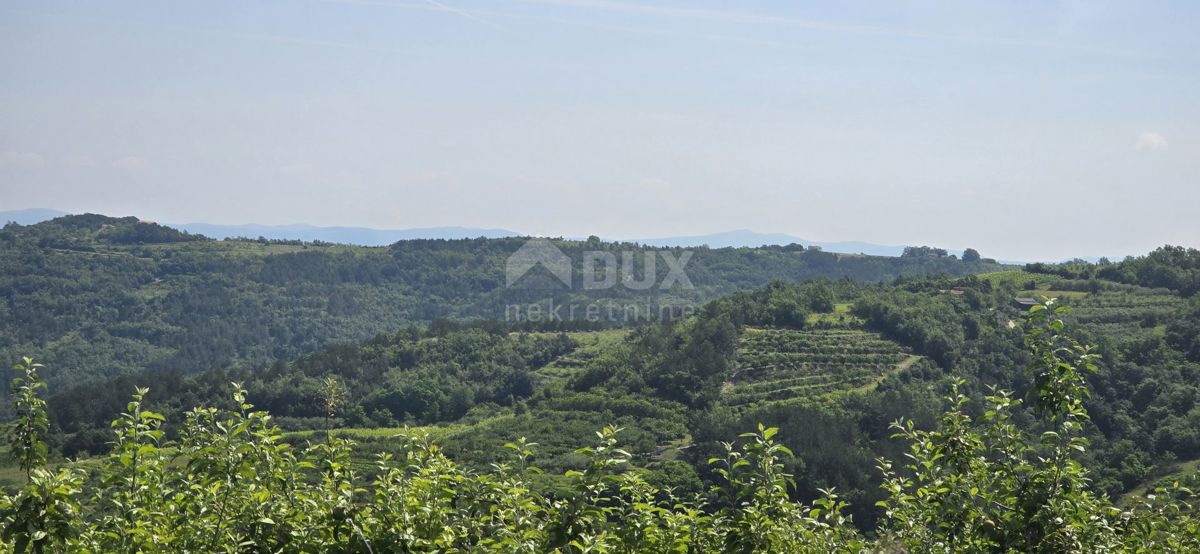 ISTRA, MOTOVUN - Čarobna dežela z dih jemajočim panoramskim razgledom! Osama!