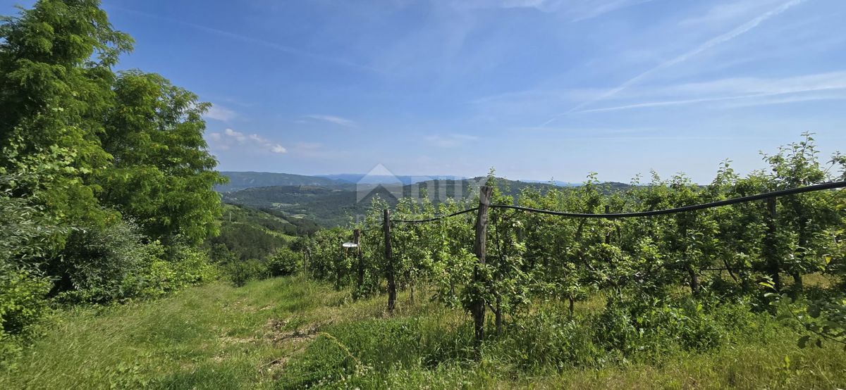 ISTRA, MOTOVUN - Čarobna dežela z dih jemajočim panoramskim razgledom! Osama!