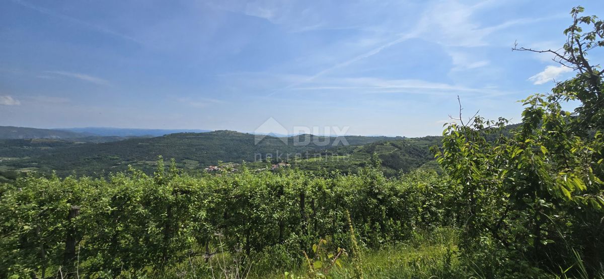 ISTRA, MOTOVUN - Čarobna dežela z dih jemajočim panoramskim razgledom! Osama!