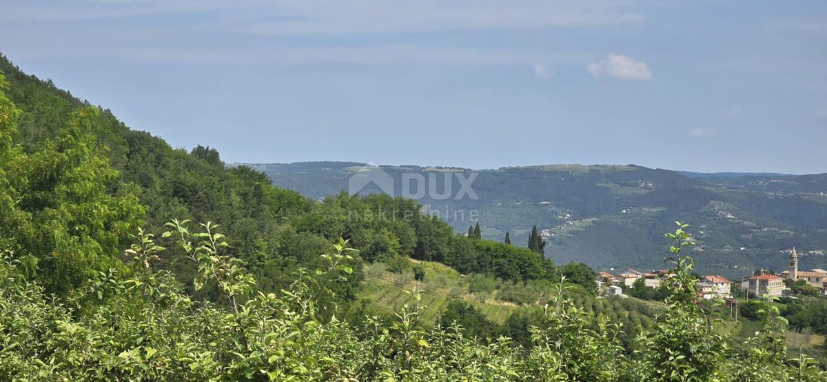 ISTRA, MOTOVUN - Čarobna dežela z dih jemajočim panoramskim razgledom! Osama!