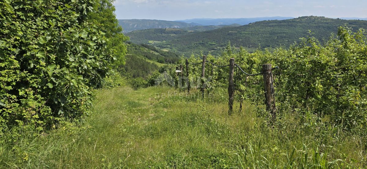 ISTRA, MOTOVUN - Čarobna dežela z dih jemajočim panoramskim razgledom! Osama!