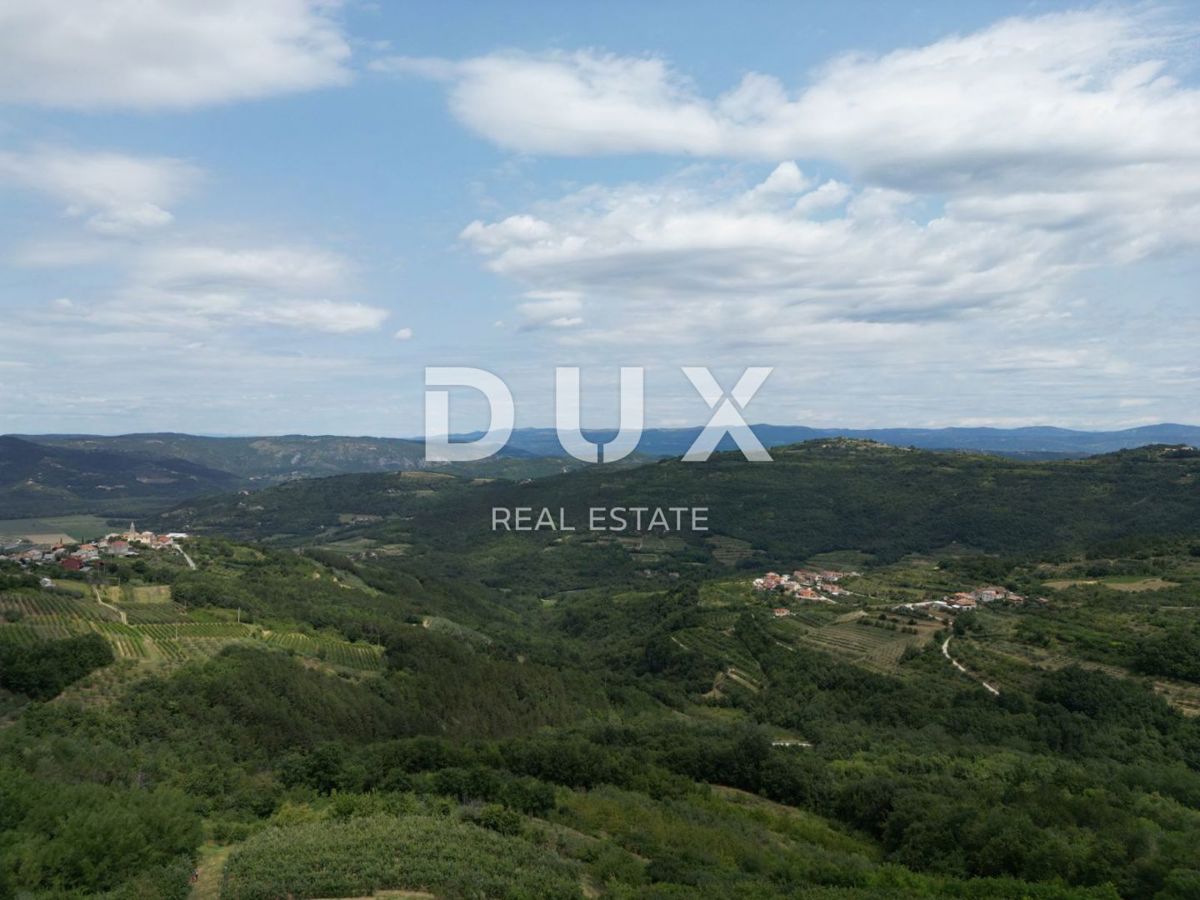 ISTRA, MOTOVUN - Čarobna dežela z dih jemajočim panoramskim razgledom! Osama!