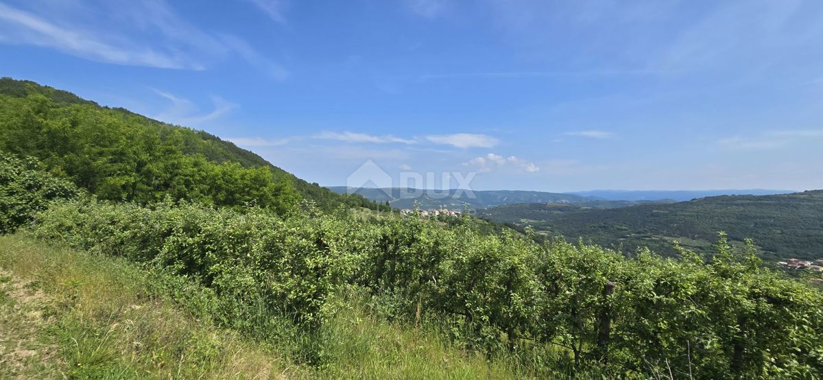 ISTRA, MOTOVUN - Čarobna dežela z dih jemajočim panoramskim razgledom! Osama!