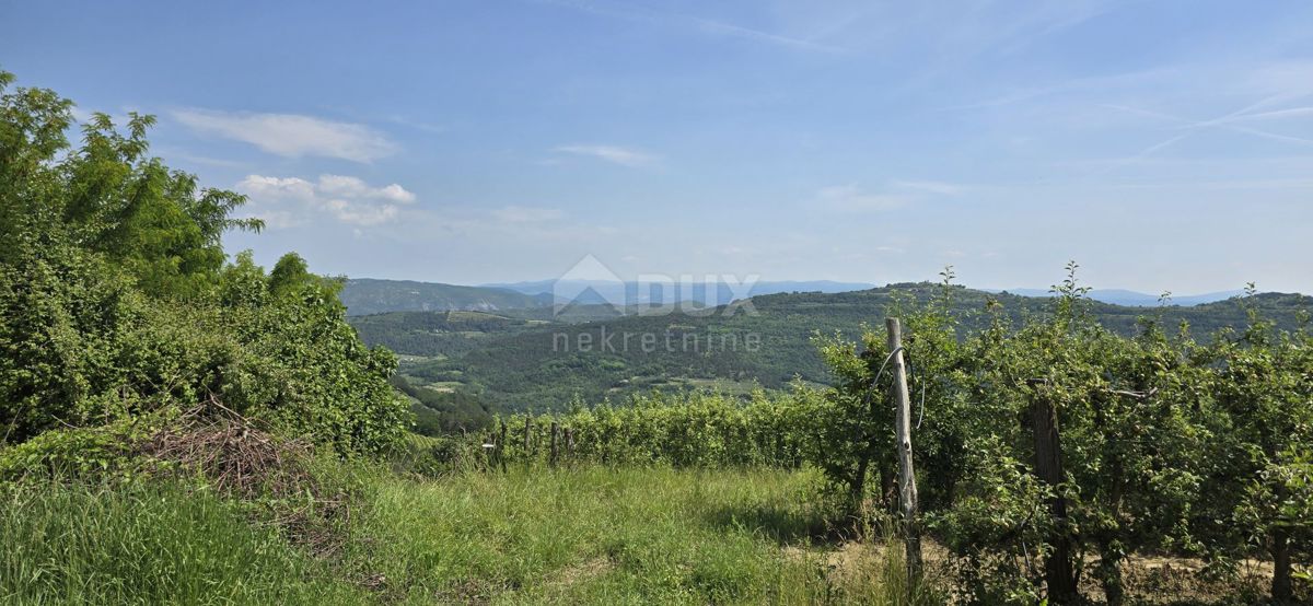 ISTRA, MOTOVUN - Čarobna dežela z dih jemajočim panoramskim razgledom! Osama!