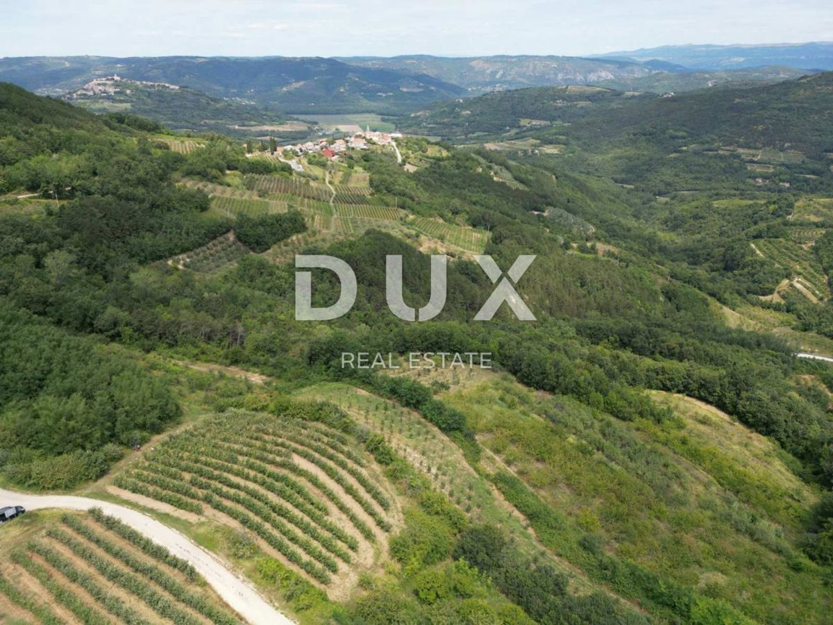 ISTRA, MOTOVUN - Čarobna dežela z dih jemajočim panoramskim razgledom! Osama!