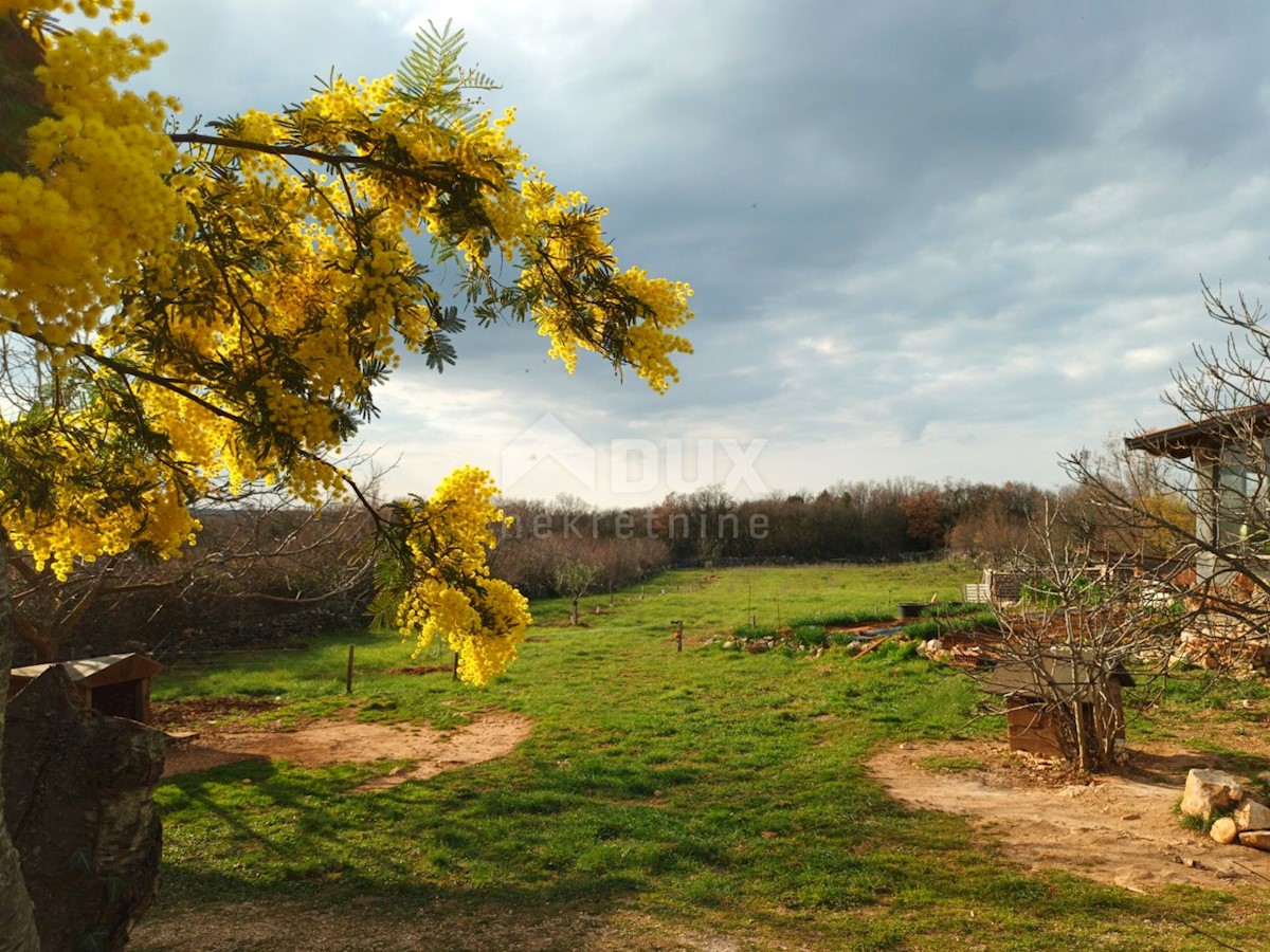 ISTRA, MARČANA - Posest na samem