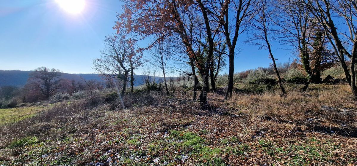 Istra, Labin, Pićan - Popolna samota in čudovit razgled!! Zazidljivo zemljišče 750 m2 in kmetijsko zemljišče 692 m2