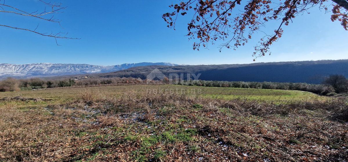 Istra, Labin, Pićan - Popolna samota in čudovit razgled!! Zazidljivo zemljišče 750 m2 in kmetijsko zemljišče 692 m2