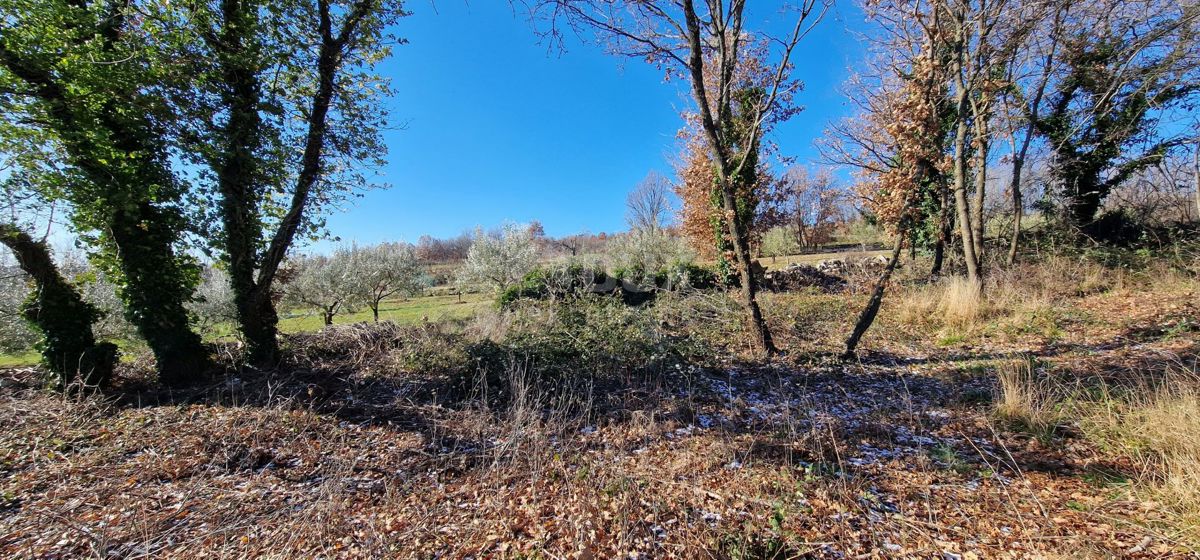 Istra, Labin, Pićan - Popolna samota in čudovit razgled!! Zazidljivo zemljišče 750 m2 in kmetijsko zemljišče 692 m2