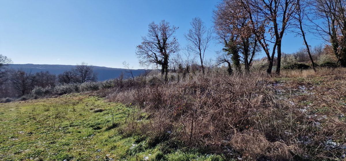 Istra, Labin, Pićan - Popolna samota in čudovit razgled!! Zazidljivo zemljišče 750 m2 in kmetijsko zemljišče 692 m2