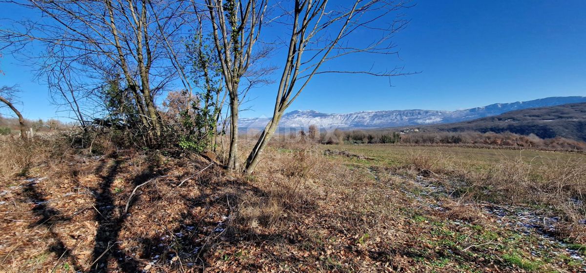 Istra, Labin, Pićan - Popolna samota in čudovit razgled!! Zazidljivo zemljišče 750 m2 in kmetijsko zemljišče 692 m2