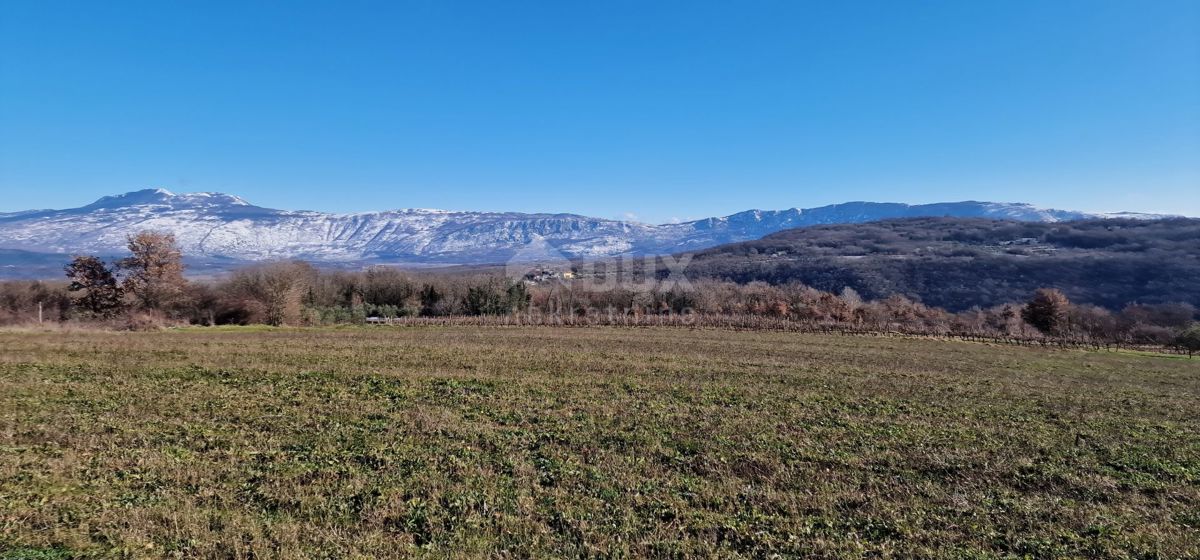 Istra, Labin, Pićan - Popolna samota in čudovit razgled!! Zazidljivo zemljišče 750 m2 in kmetijsko zemljišče 692 m2