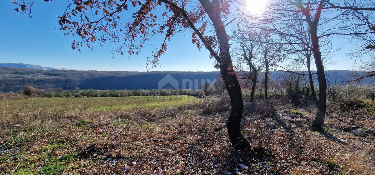 Istra, Labin, Pićan - Popolna samota in čudovit razgled!! Zazidljivo zemljišče 750 m2 in kmetijsko zemljišče 692 m2