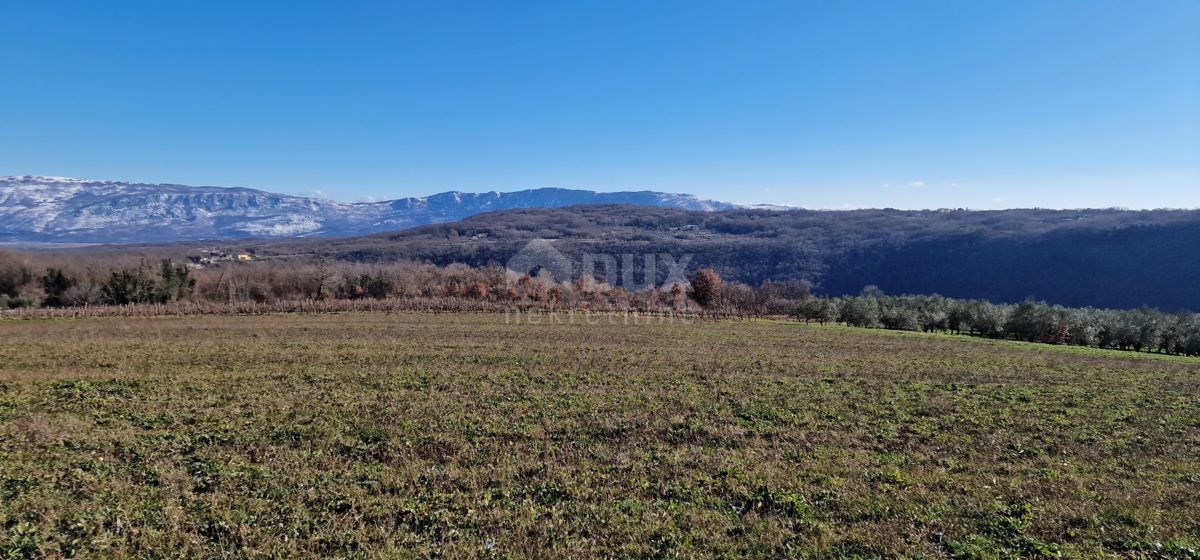 Istra, Labin, Pićan - Popolna samota in čudovit razgled!! Zazidljivo zemljišče 750 m2 in kmetijsko zemljišče 692 m2