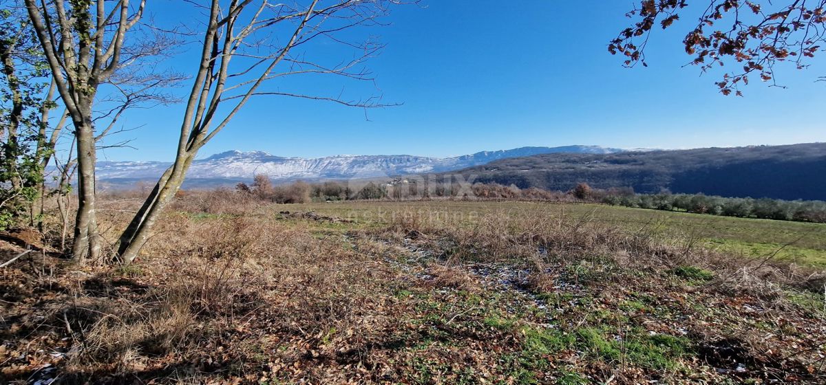 Istra, Labin, Pićan - Popolna samota in čudovit razgled!! Zazidljivo zemljišče 750 m2 in kmetijsko zemljišče 692 m2