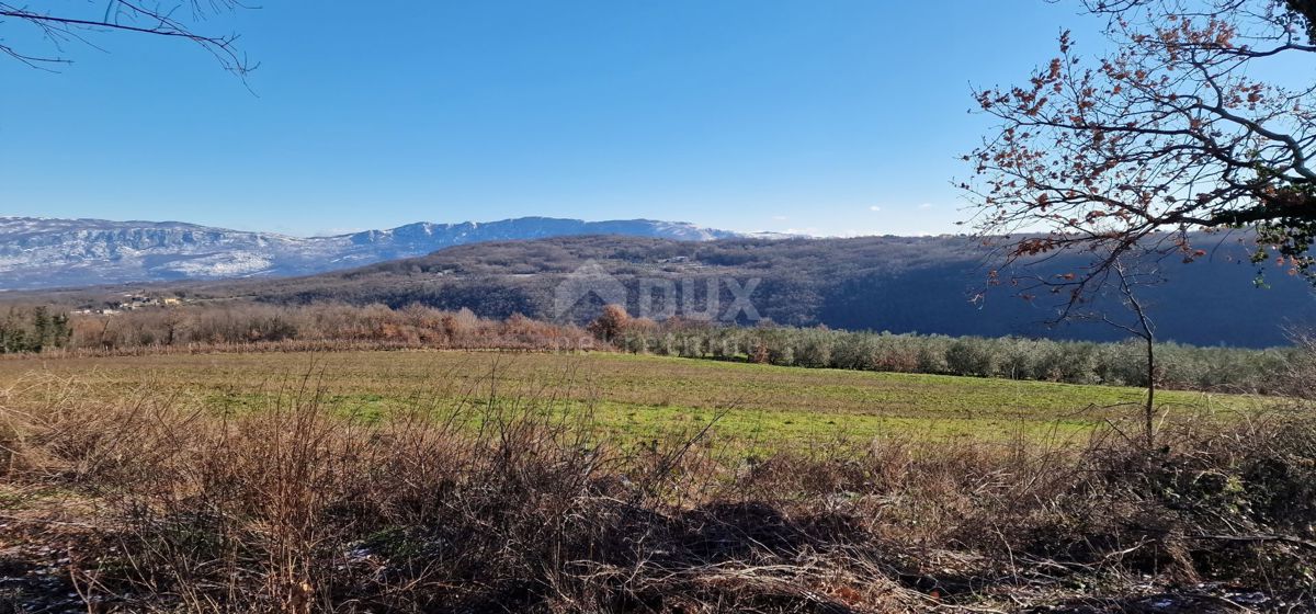 Istra, Labin, Pićan - Popolna samota in čudovit razgled!! Zazidljivo zemljišče 750 m2 in kmetijsko zemljišče 692 m2