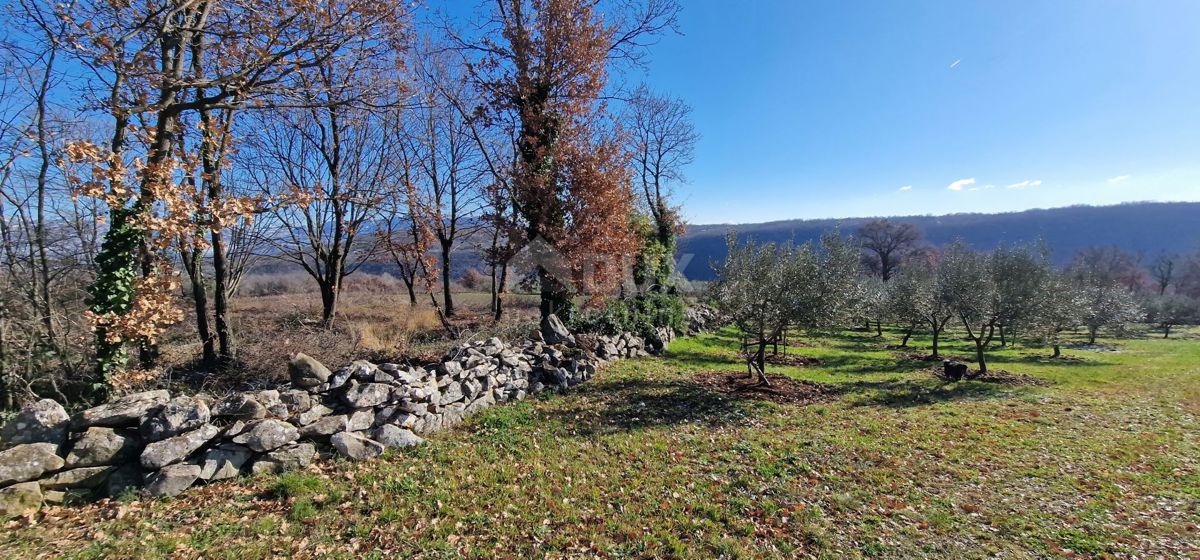 Istra, Labin, Pićan - Popolna samota in čudovit razgled!! Zazidljivo zemljišče 750 m2 in kmetijsko zemljišče 692 m2