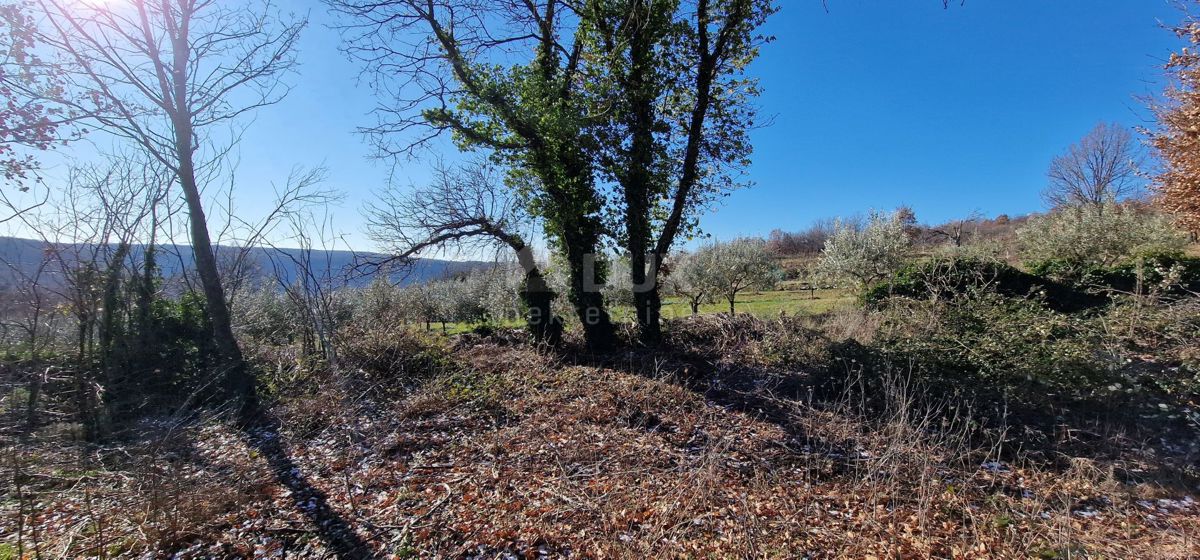 Istra, Labin, Pićan - Popolna samota in čudovit razgled!! Zazidljivo zemljišče 750 m2 in kmetijsko zemljišče 692 m2