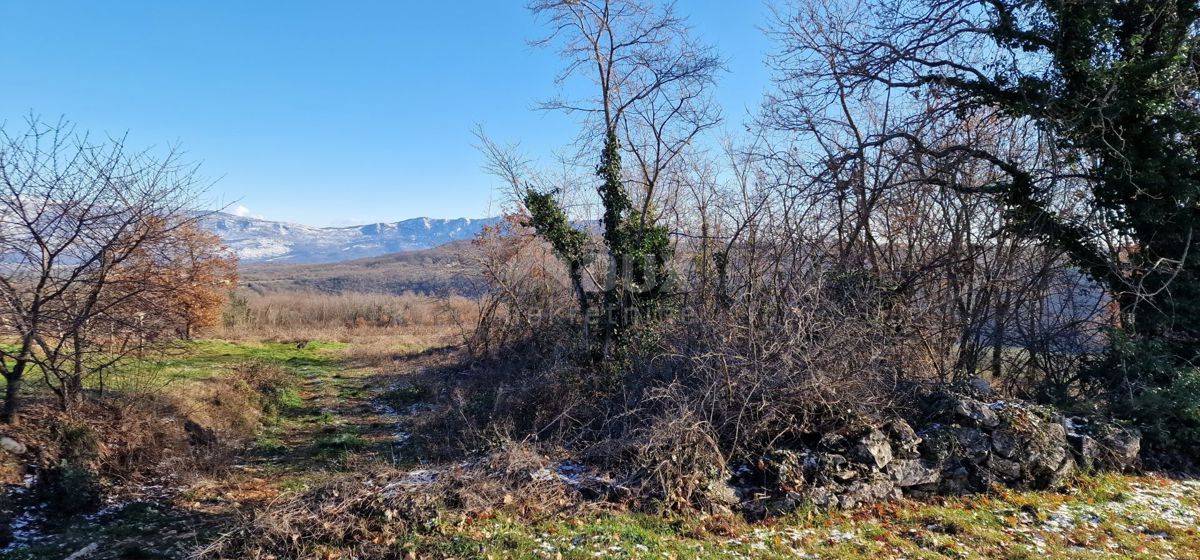 Istra, Labin, Pićan - Popolna samota in čudovit razgled!! Zazidljivo zemljišče 750 m2 in kmetijsko zemljišče 692 m2