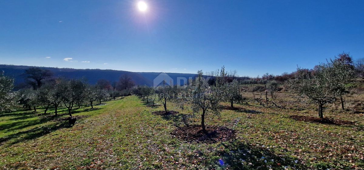 Istra, Labin, Pićan - Popolna samota in čudovit razgled!! Zazidljivo zemljišče 750 m2 in kmetijsko zemljišče 692 m2