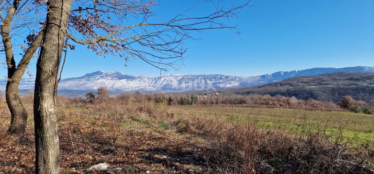 Istra, Labin, Pićan - Popolna samota in čudovit razgled!! Zazidljivo zemljišče 750 m2 in kmetijsko zemljišče 692 m2