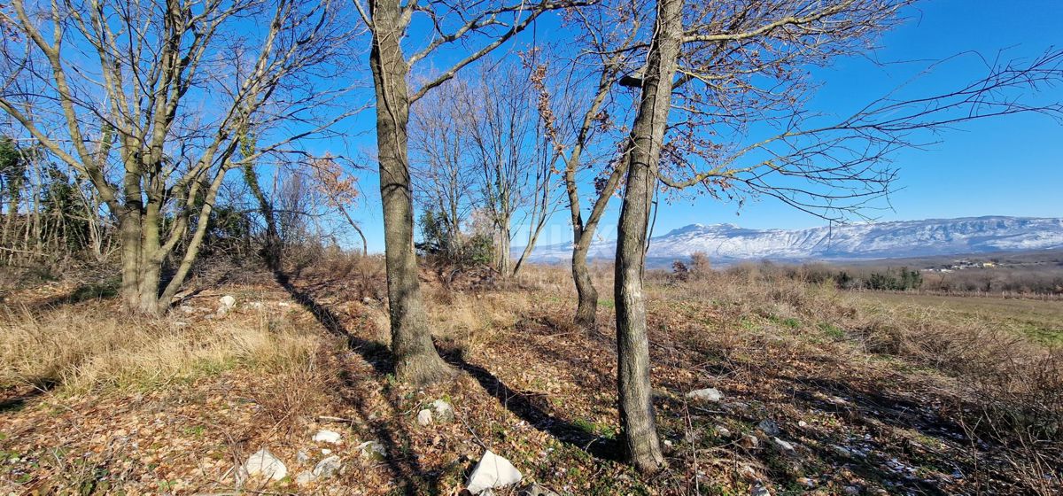 Istra, Labin, Pićan - Popolna samota in čudovit razgled!! Zazidljivo zemljišče 750 m2 in kmetijsko zemljišče 692 m2