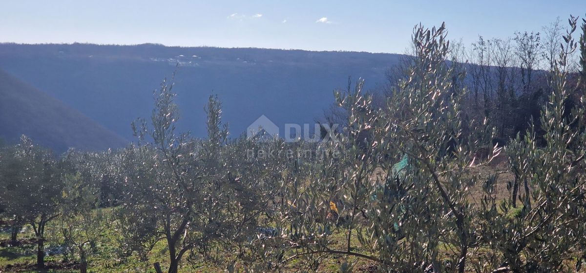 Istra, Labin, Pićan - Popolna samota in čudovit razgled!! Zazidljivo zemljišče 750 m2 in kmetijsko zemljišče 692 m2