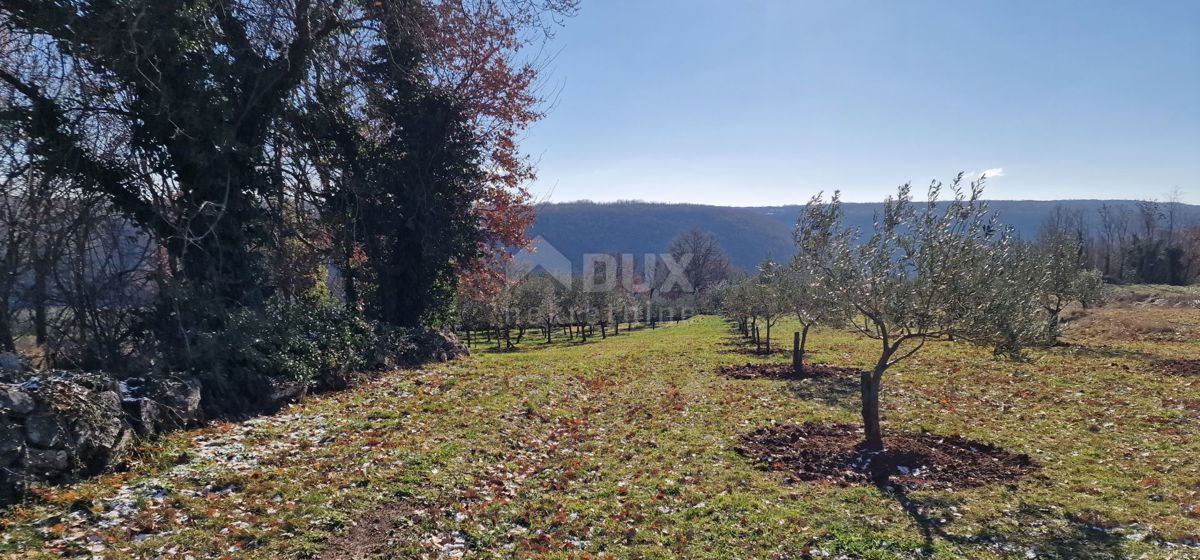 Istra, Labin, Pićan - Popolna samota in čudovit razgled!! Zazidljivo zemljišče 750 m2 in kmetijsko zemljišče 692 m2