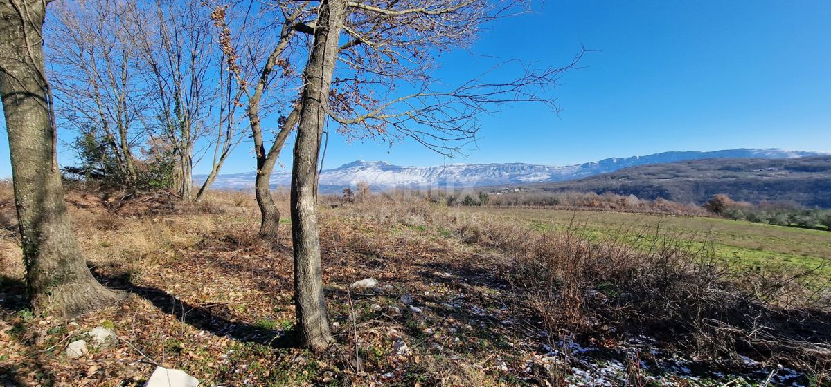 Istra, Labin, Pićan - Popolna samota in čudovit razgled!! Zazidljivo zemljišče 750 m2 in kmetijsko zemljišče 692 m2