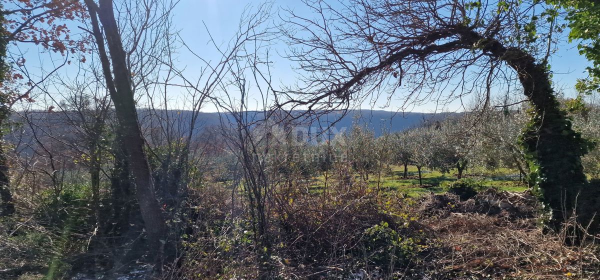 Istra, Labin, Pićan - Popolna samota in čudovit razgled!! Zazidljivo zemljišče 750 m2 in kmetijsko zemljišče 692 m2