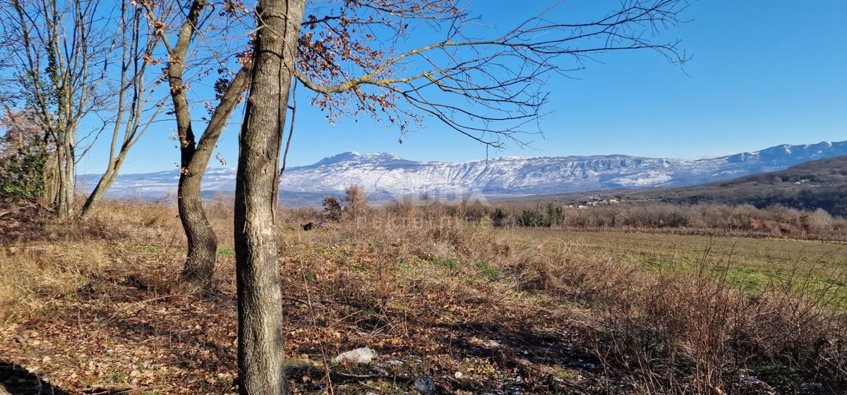 Istra, Labin, Pićan - Popolna samota in čudovit razgled!! Zazidljivo zemljišče 750 m2 in kmetijsko zemljišče 692 m2