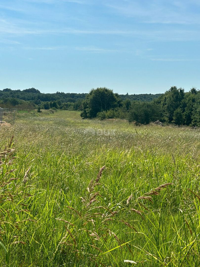 ISTRA, BARBAN - Gradbeno zemljišče za gradnjo kompleksa vil! INVESTICIJSKA PRILOŽNOST!