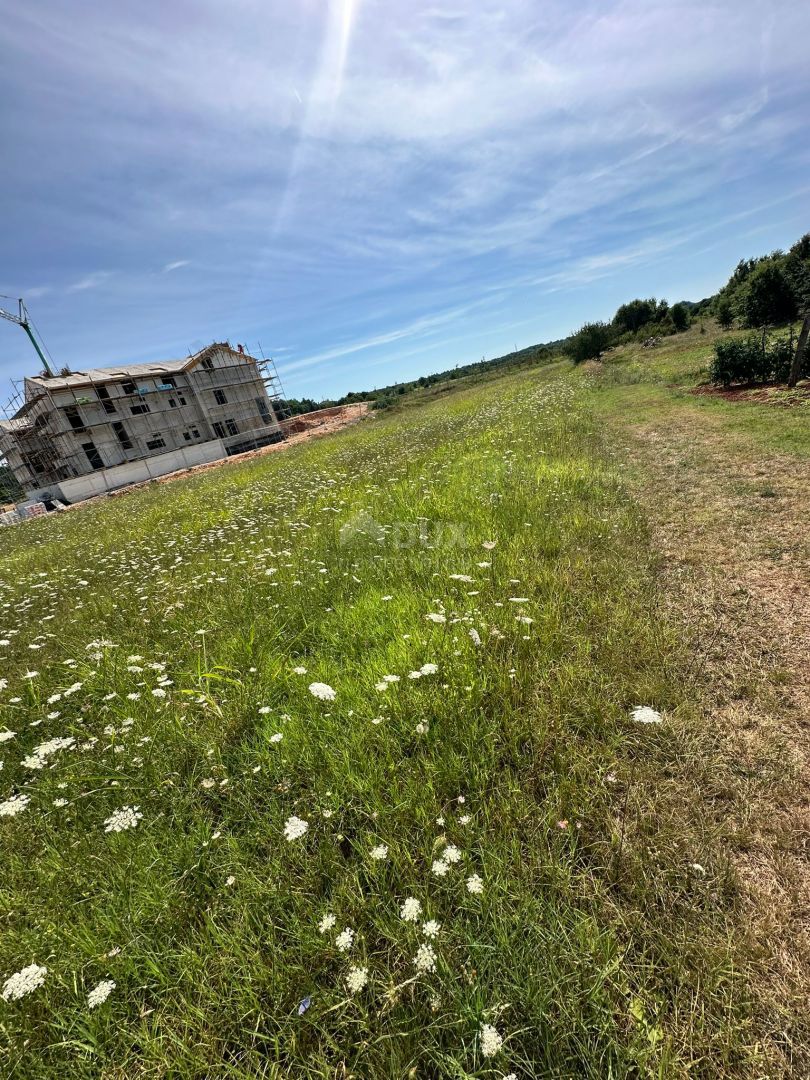 ISTRA, BARBAN - Gradbeno zemljišče za gradnjo kompleksa vil! INVESTICIJSKA PRILOŽNOST!