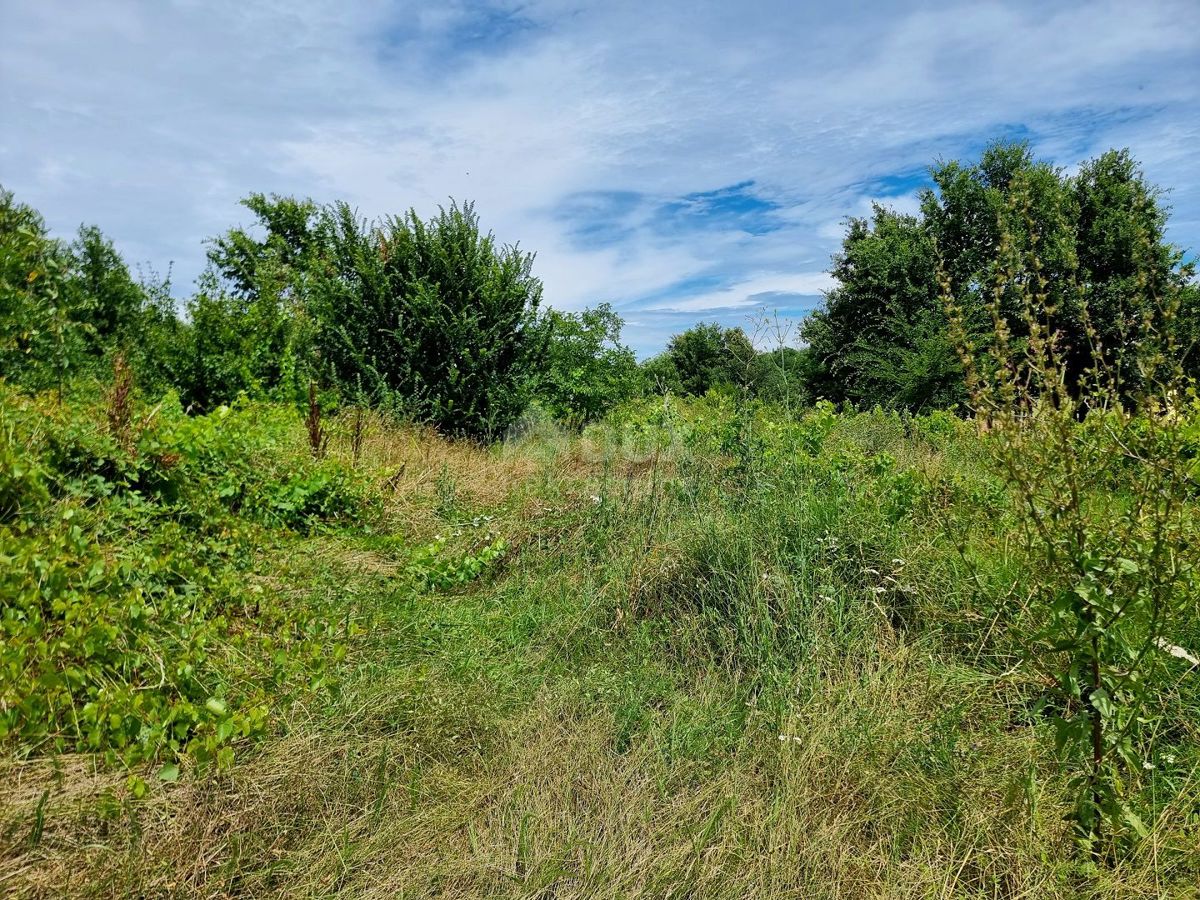 ISTRA, LABIN - Veliko zemljišče s panoramskim razgledom