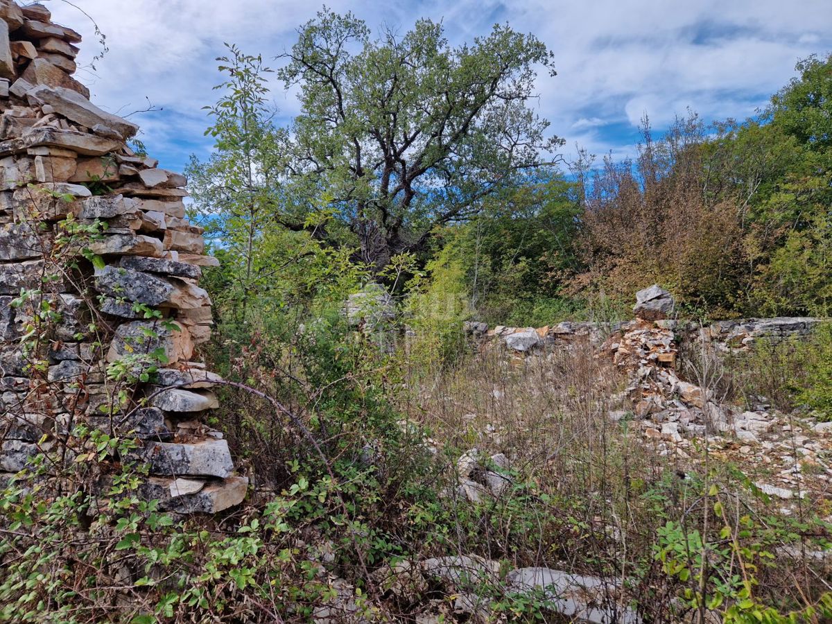 ISTRA, SVETVINČENAT - Prostorno zemljišče s porušenim objektom