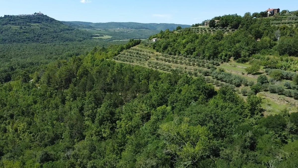 ISTRA, MOTOVUN - Kamnita pravljica v naravi! REDKOST!