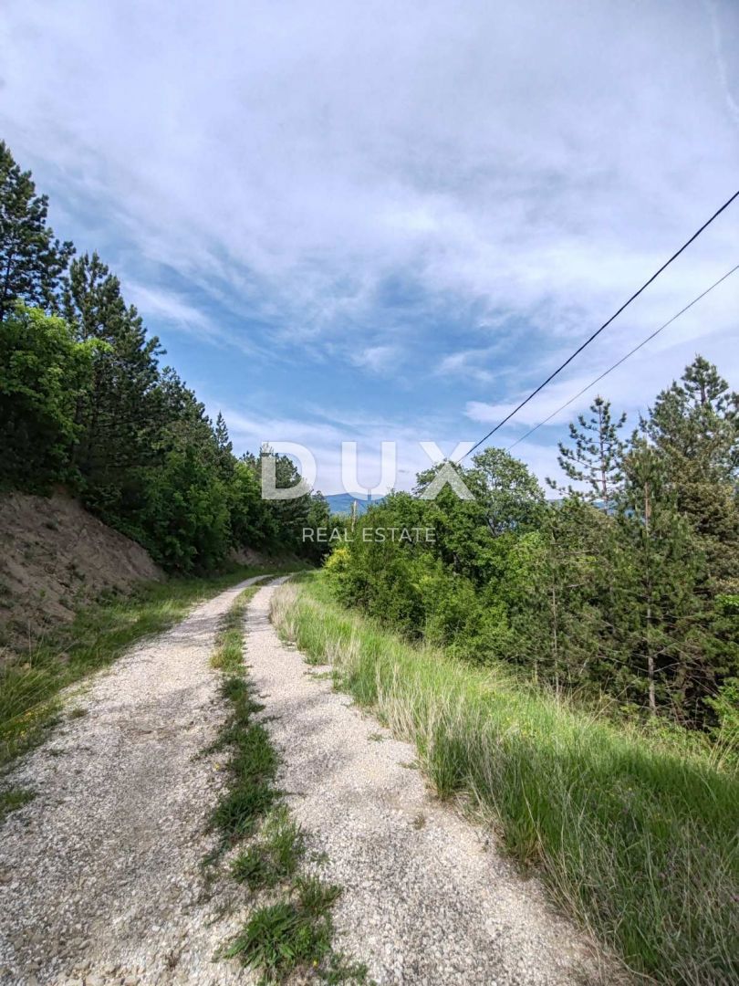 ISTRA, CEROVLJE, OKOLICA - Edinstvena priložnost na trgu! Osamljena vasica, velika 20 hektarjev