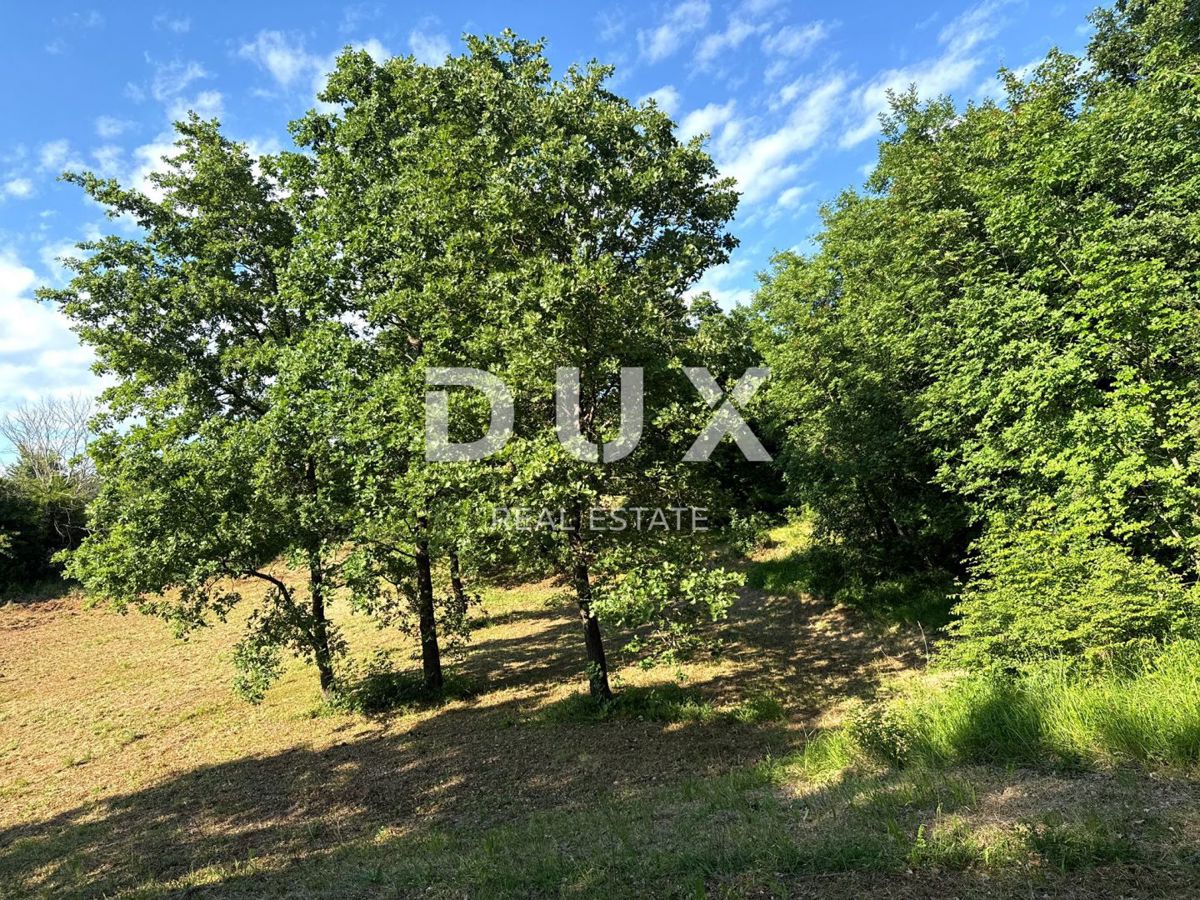 ISTRA, BARBAN (OKOLICA) - Tri gradbene parcele na odmaknjenem območju, le 2 km od morja!