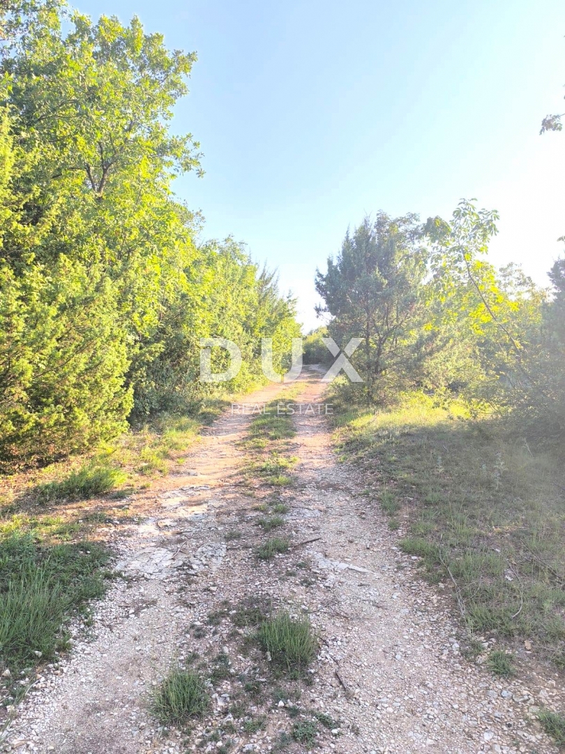 ISTRA, SVETVINČENAT Kmetijsko zemljišče za nasad oljk
