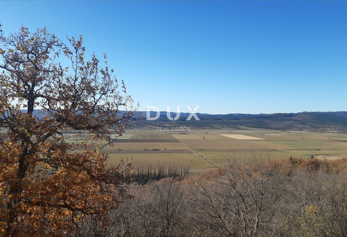 JESENOVIK, KRŠAN - zemljišče 11500m2 (10000m2 kmetijsko + 1500m2 stavbno) z označeno ruševino in hlevom 