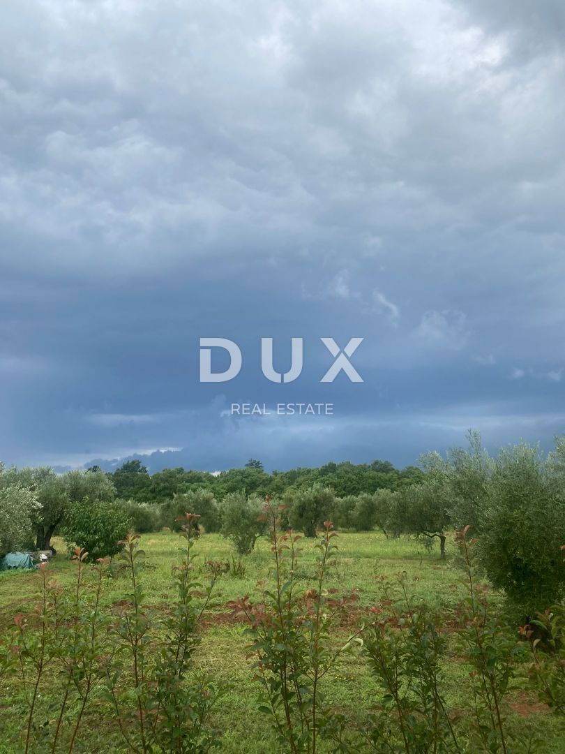 ISTRA, NOVIGRAD - Mediteranska hiša z bazenom