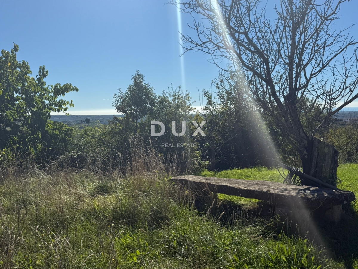 ISTRA, GROŽNJAN - Avtentična samostojna kamnita hiša