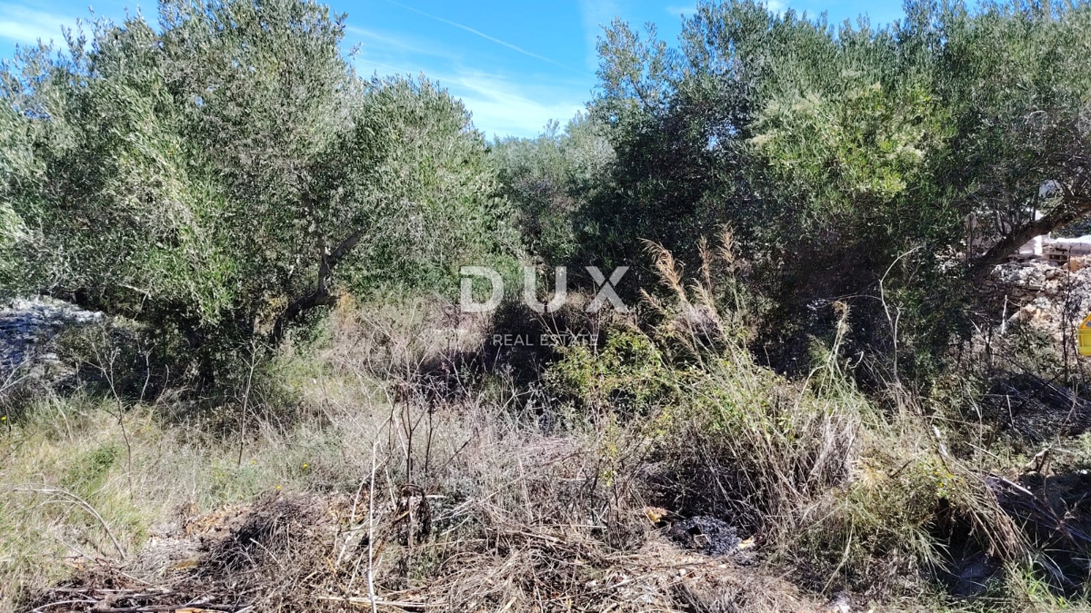 DUGI OTOK, BOŽAVA - PRILOŽNOST! Gradbeno zemljišče 130 m od morja!
